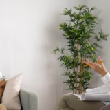 Psychiatric PTSD Treatment in Virginia